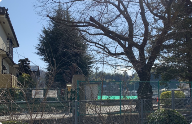 ほねごり接骨院・はりきゅう院 八王子長沼院　アクセス方法02